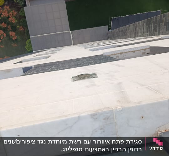 רשת למניעת כניסת יונים על גג בניין